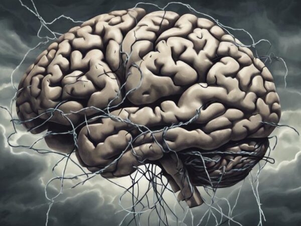 stress s effect on health